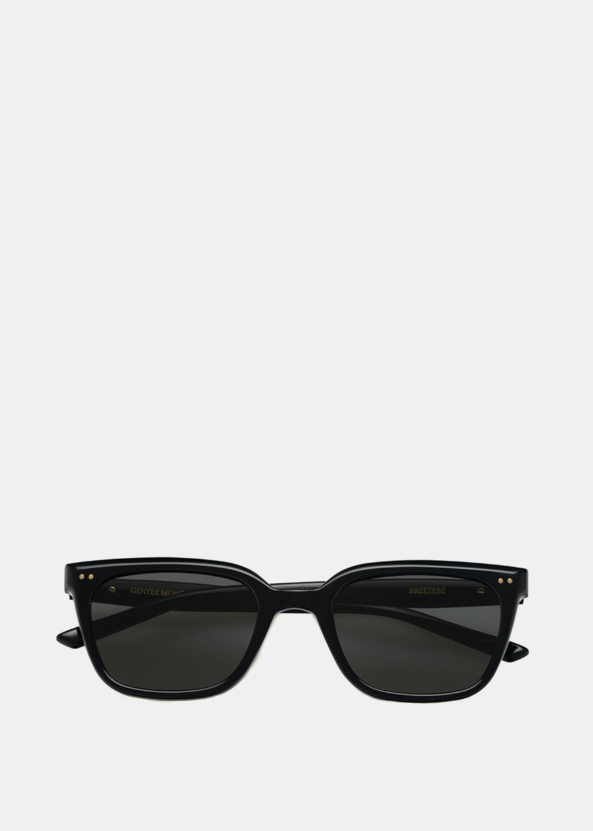 BREEZEBE-01 Sunglasses | LEISURE CENTER