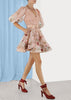 Blush Floral Dancer Mini Dress