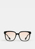DION 01(RG) Sunglasses